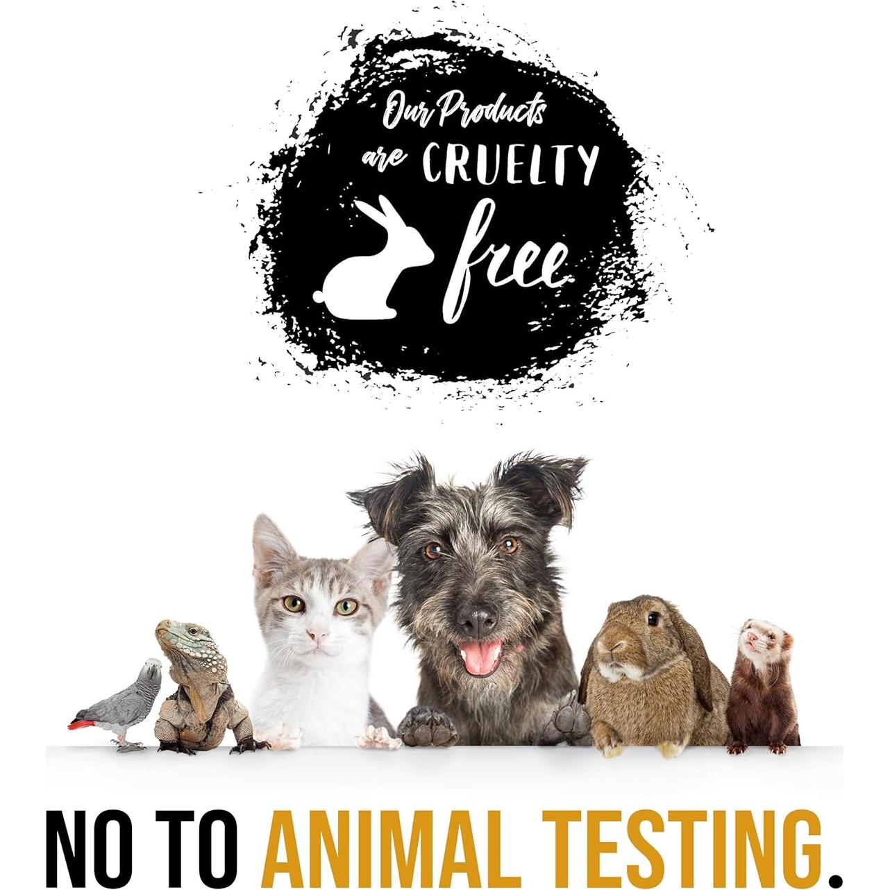 Set de Spa de Coco Freida & Joe - Gel, Burbujas, Sales y Más