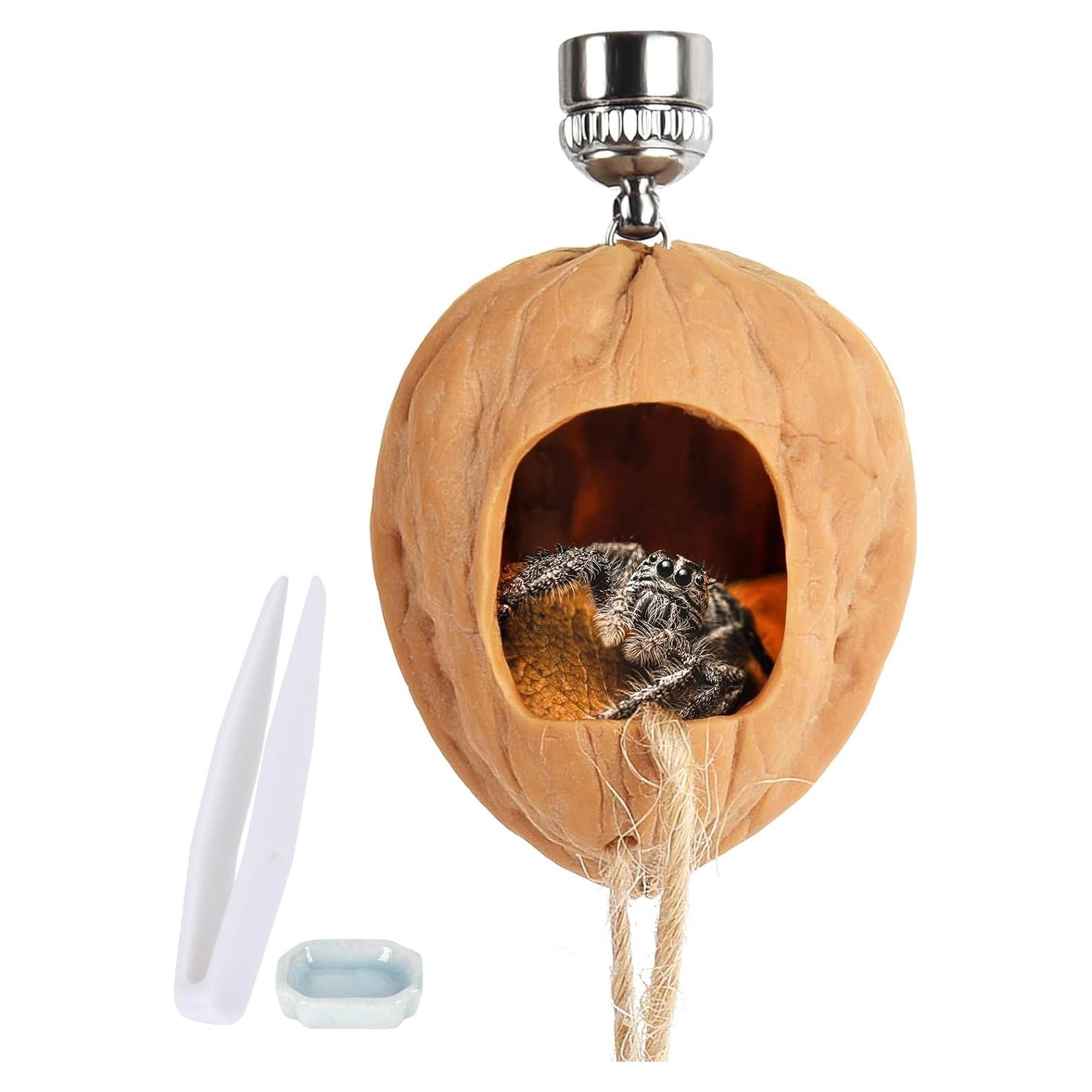 Escondite para Araña Saltadora Hecho a Mano - Jaula de Nogal