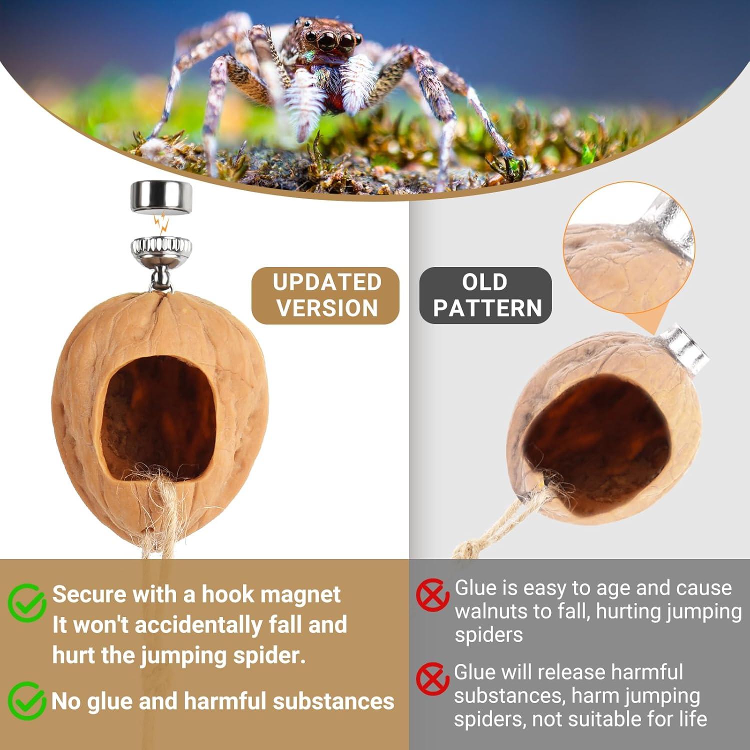 Escondite para Araña Saltadora Hecho a Mano - Jaula de Nogal