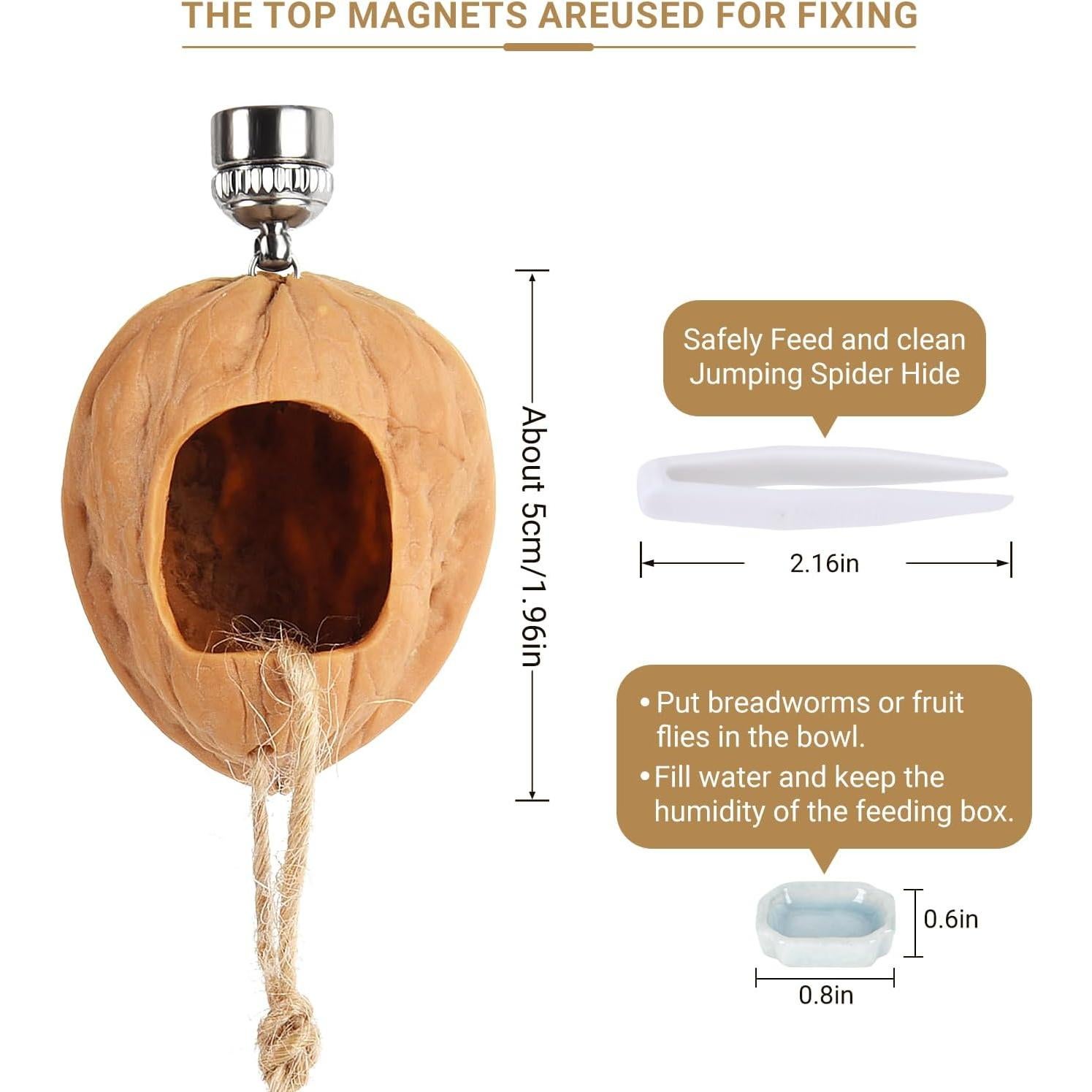 Escondite para Araña Saltadora Hecho a Mano - Jaula de Nogal