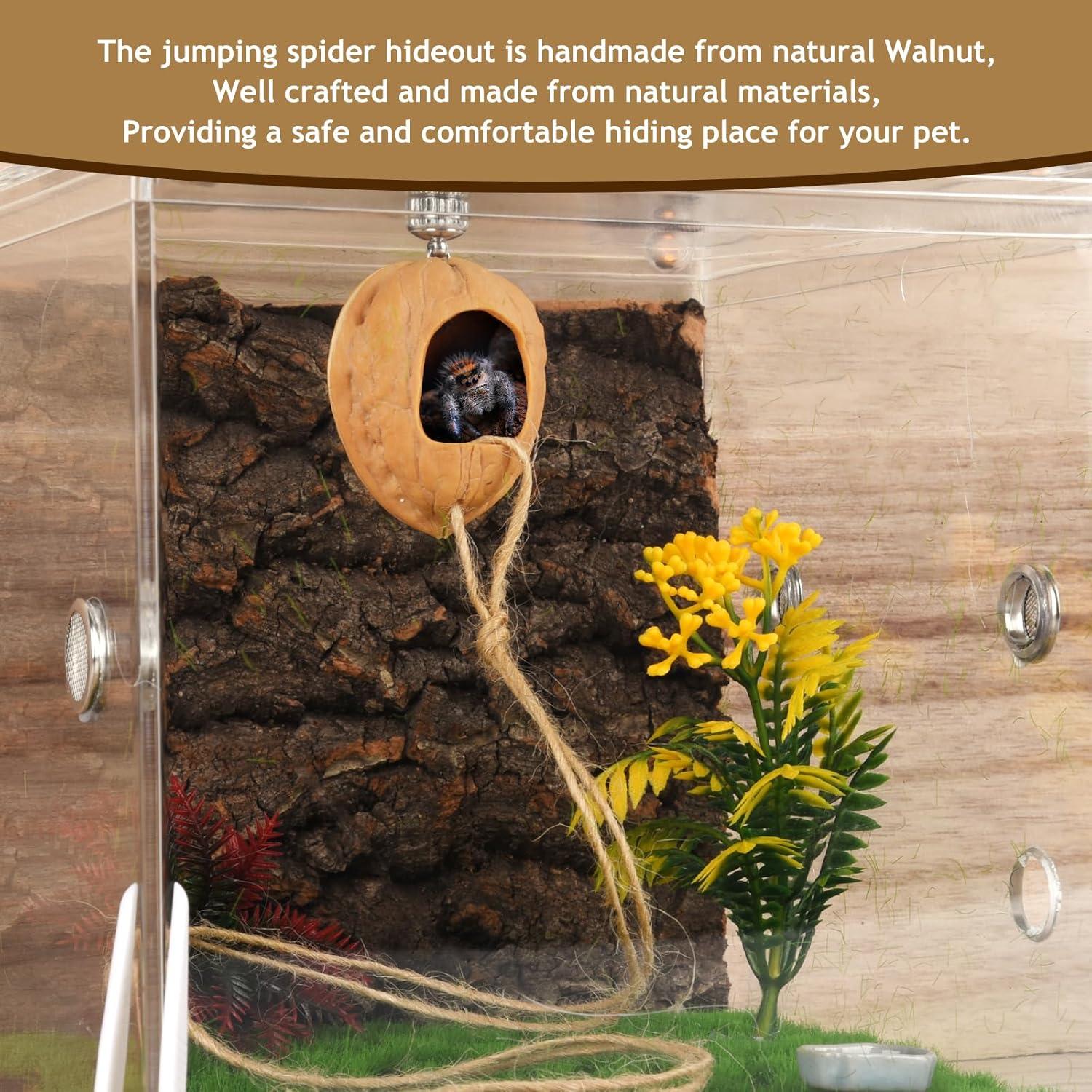 Escondite para Araña Saltadora Hecho a Mano - Jaula de Nogal