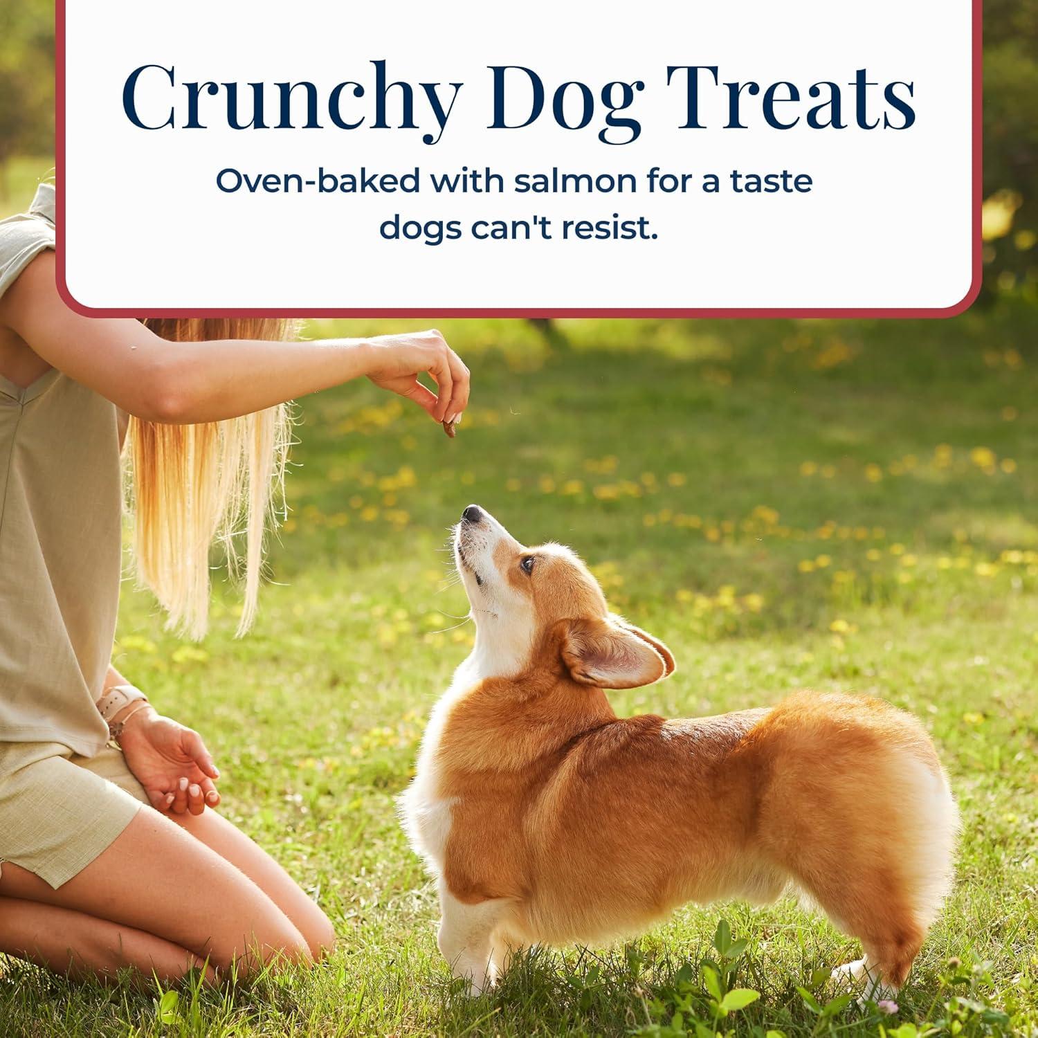 Galletas Crujientes Blue Buffalo Basics Salmón y Papa 170g