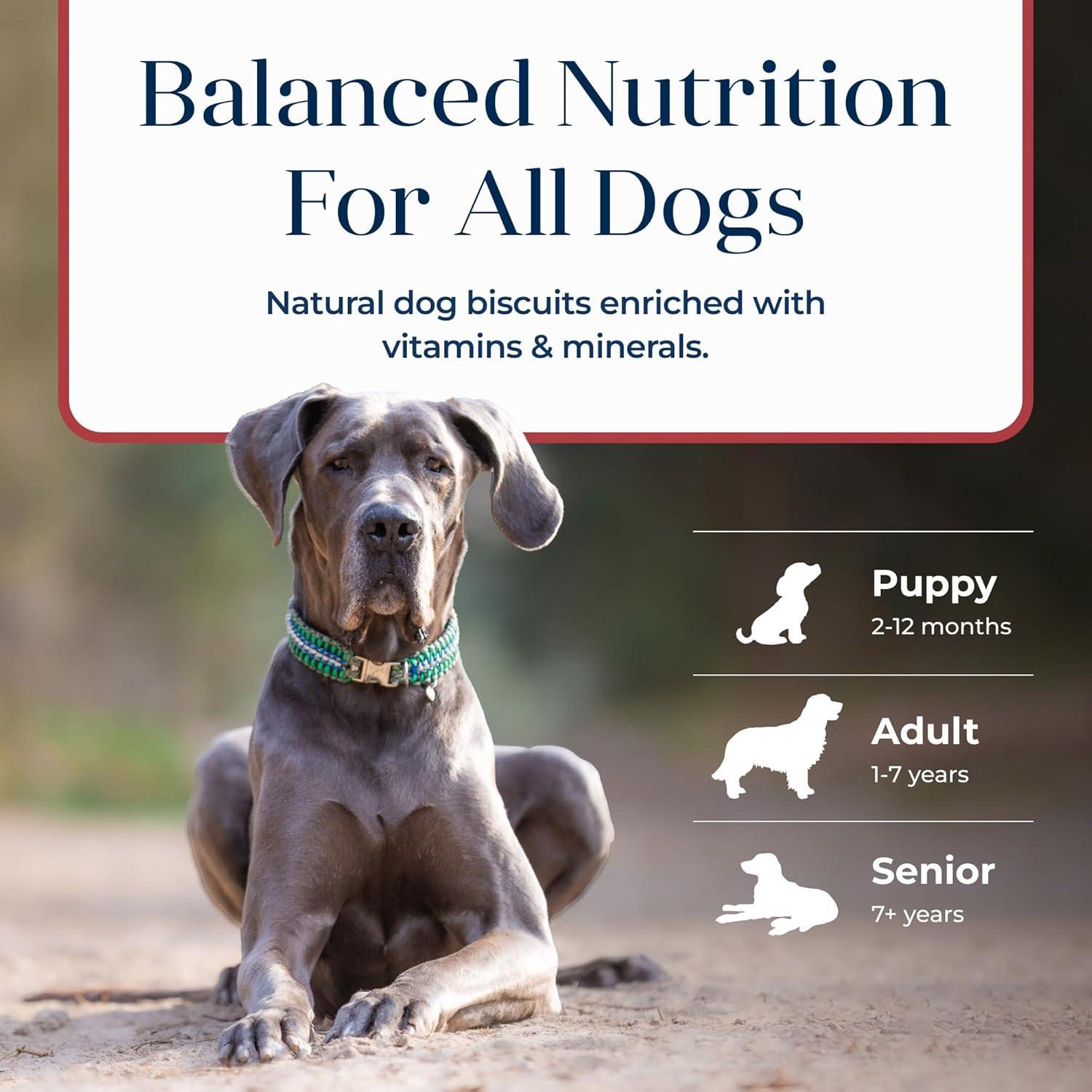 Galletas Crujientes Blue Buffalo Basics Salmón y Papa 170g