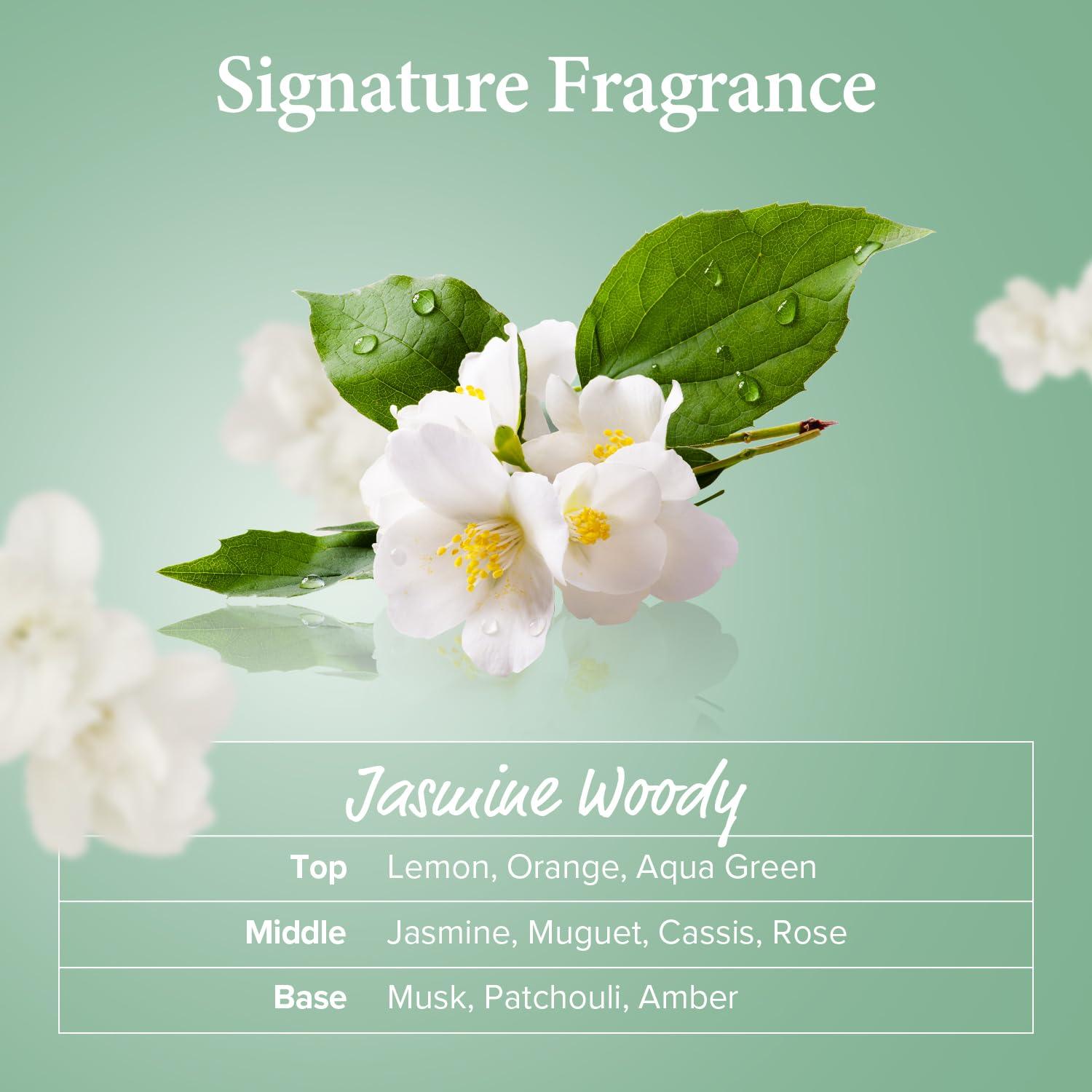 Champú KUNDAL Árbol de Té y Macadamia 300 ml - Paquete de 2