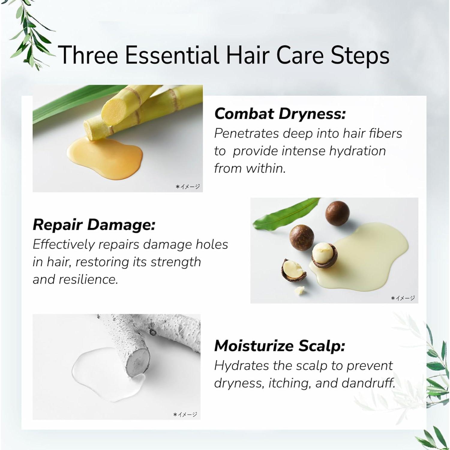 Juego de Gel de Ducha y Champú Botanist 473ml x2 - Hidratante