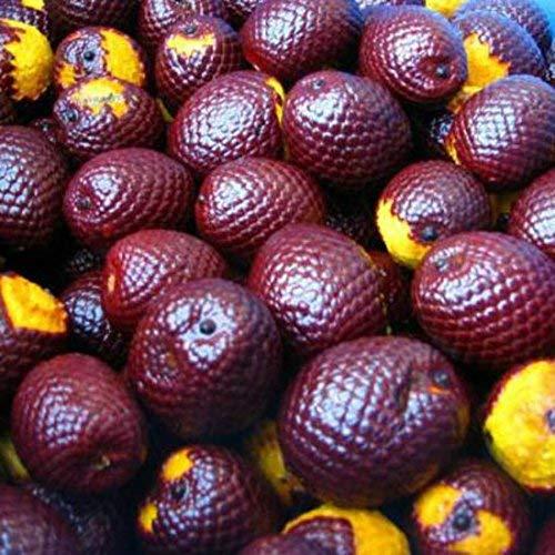 Aceite de Buriti 100% Puro Esenciales Dulces 60ml Vidrio
