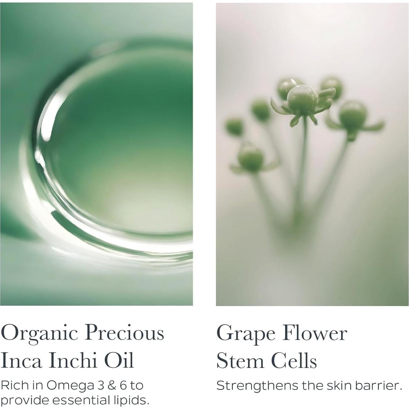 Crema Rehidratante Ultra-Rica SOTHYS 299g - Hidratante Facial