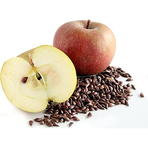 Aceite de Semilla de Manzana Cocojojo 946 ml Puro Natural