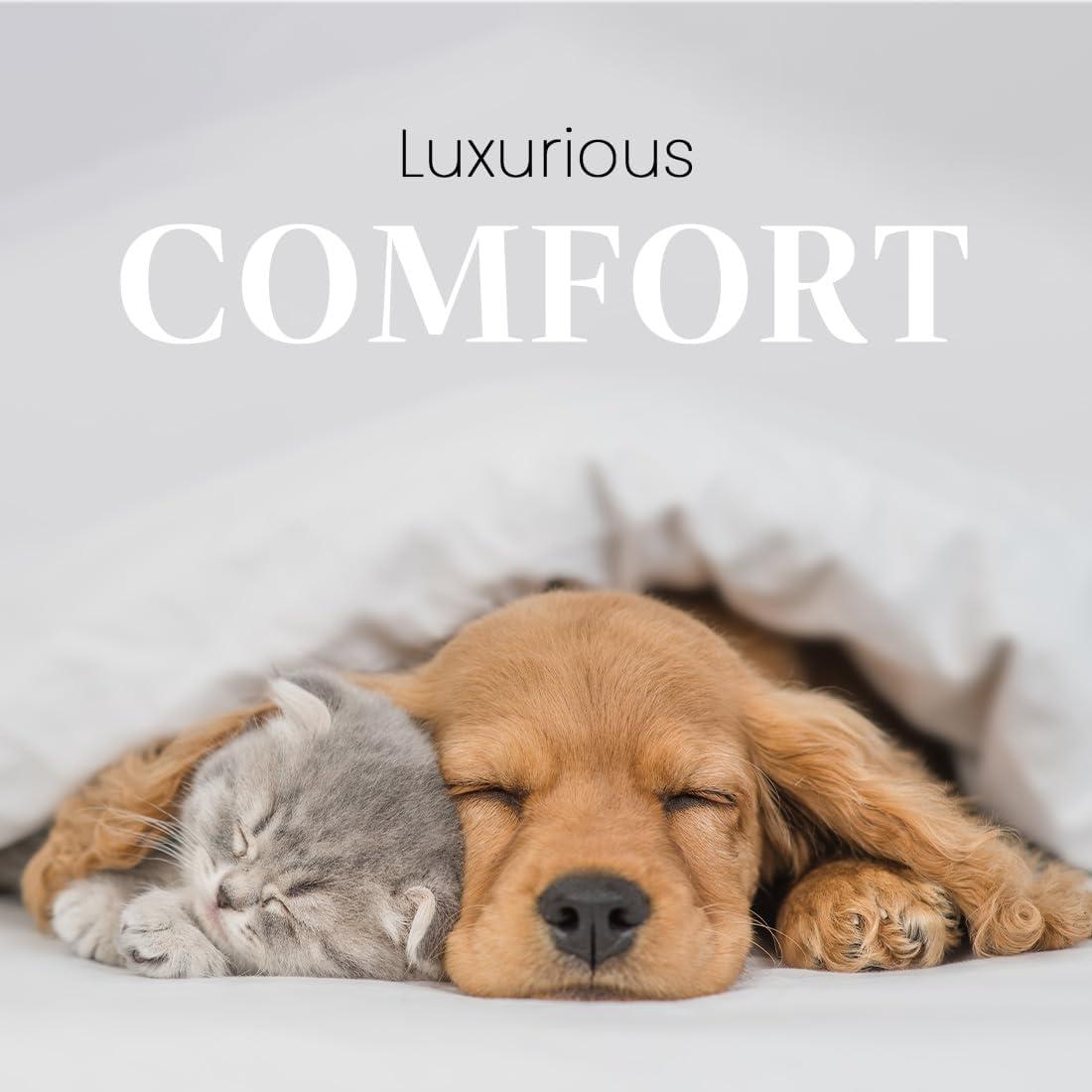 Acondicionador Fortificante para Cachorros Mejor Opción 3.78L