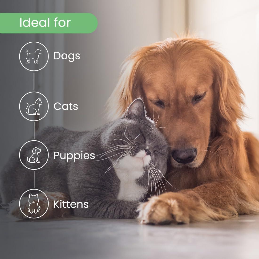 Acondicionador Fortificante para Cachorros Mejor Opción 3.78L