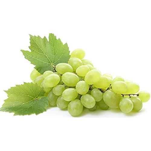 Aceite de Semilla de Uva Orgánico Puro 226 ml - Hidratante Natural