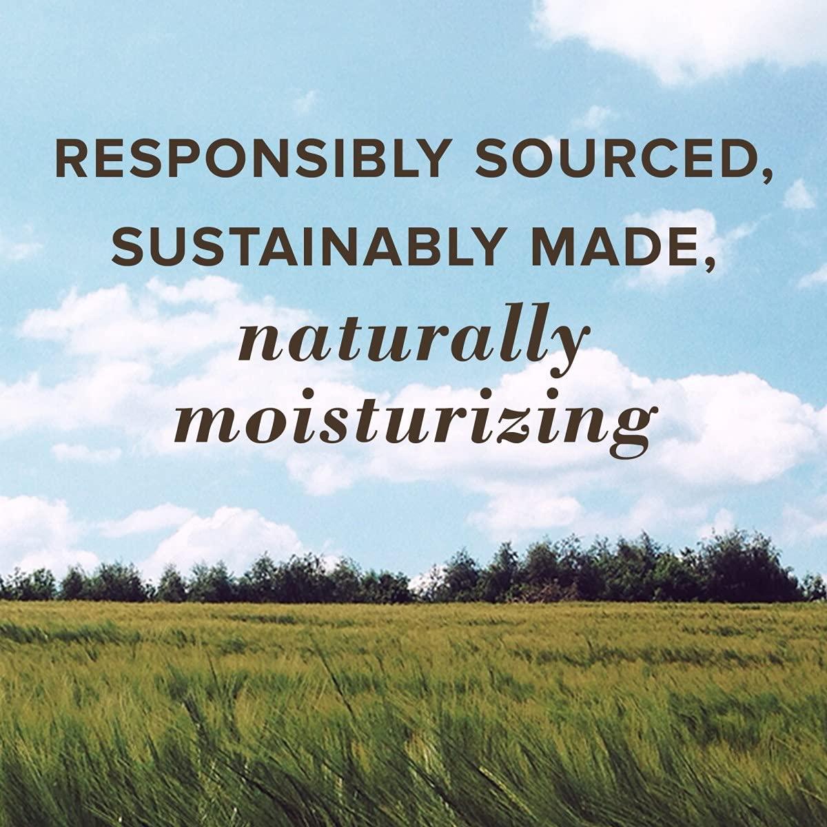 Bálsamo Labial Burt's Bees Mango - Hidratante Natural 2 Tubos 4.25g