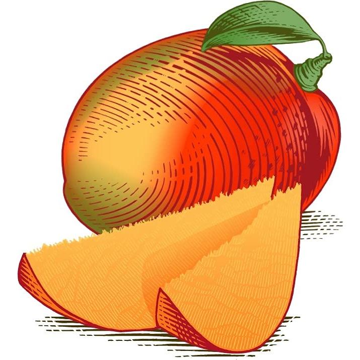 Bálsamo Labial Burt's Bees Mango - Hidratante Natural 2 Tubos 4.25g