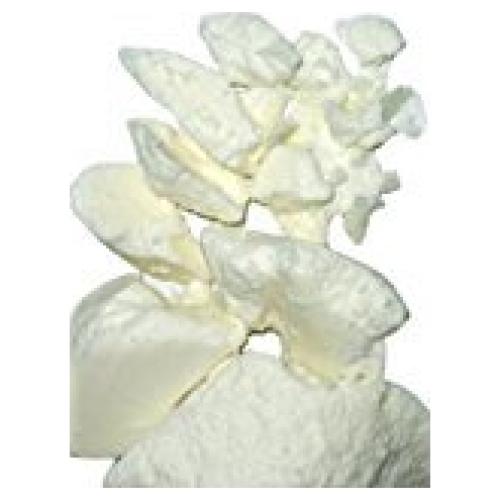 Manteca de Mango Cruda Yellow Brick Road 480g