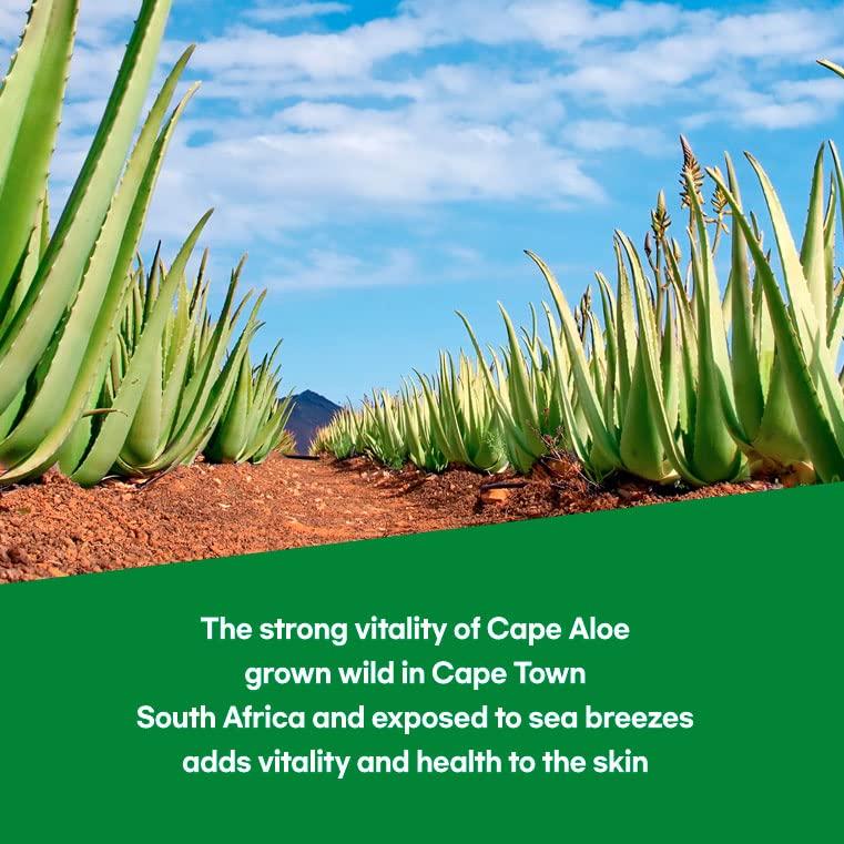 Gel de Aloe Vera Orgánico by.H 98% Puro - Hidratante Facial 168g