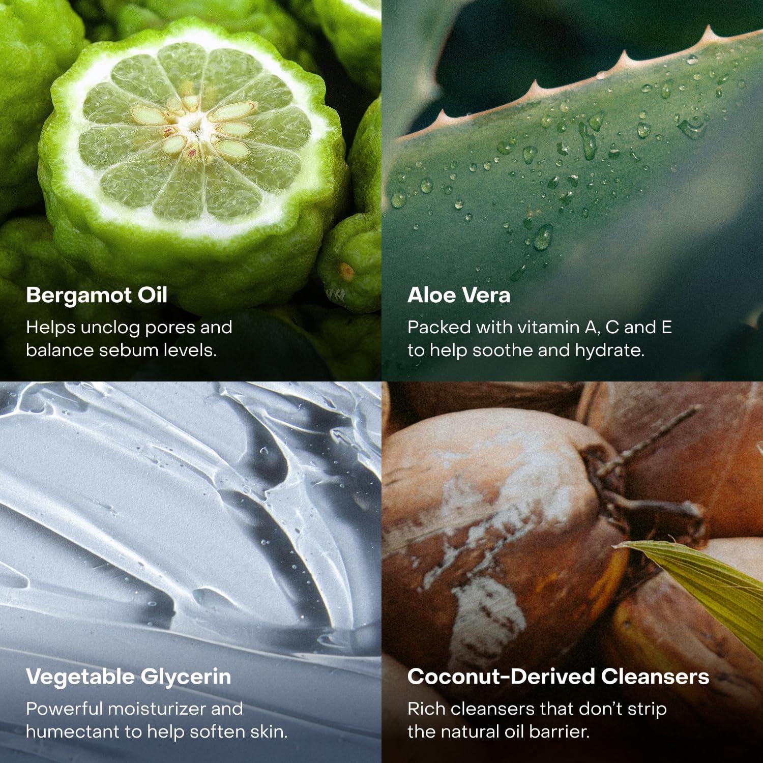 Gel de Ducha Hidratante Everist 100 ml Aloe Vera Vegano