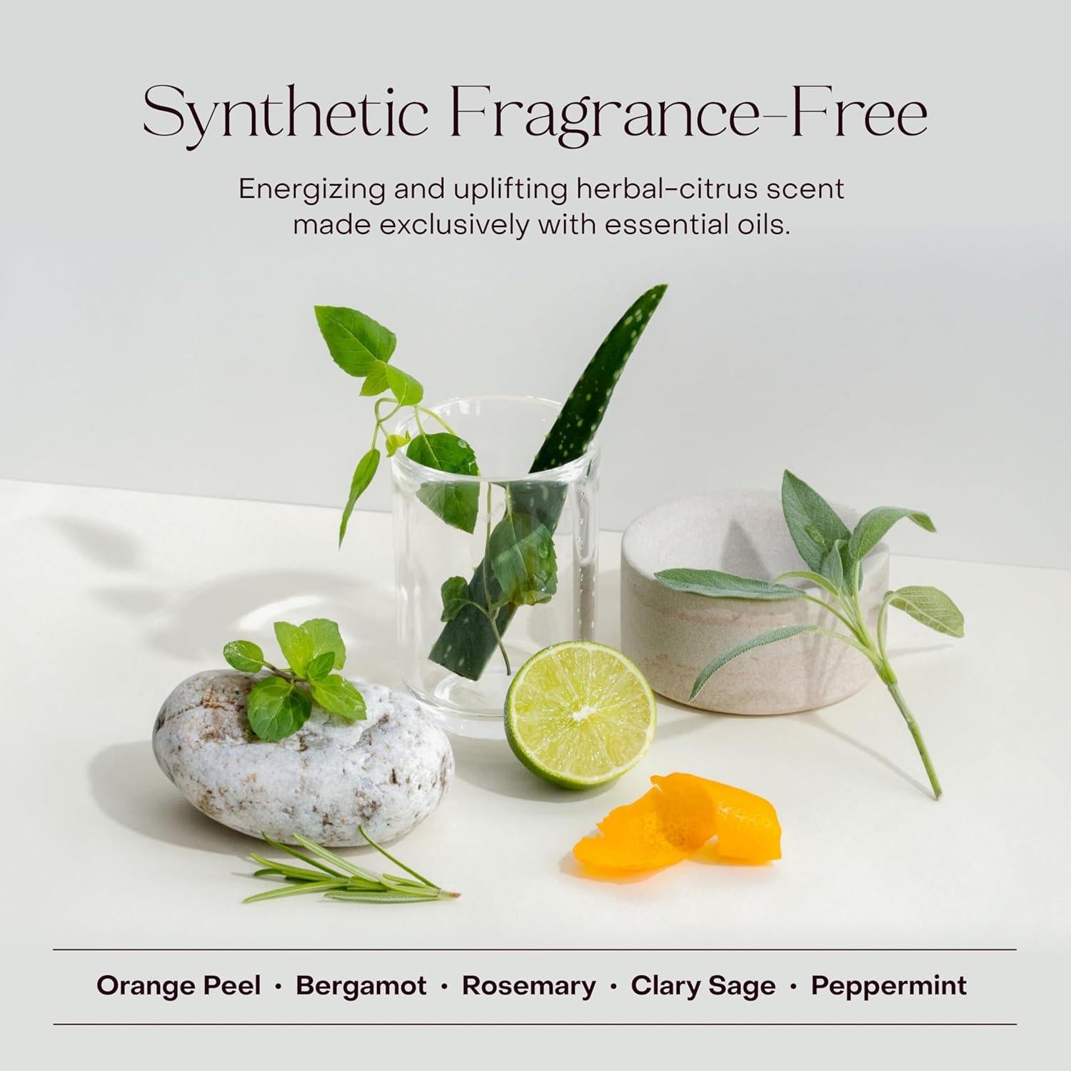 Gel de Ducha Hidratante Everist 100 ml Aloe Vera Vegano