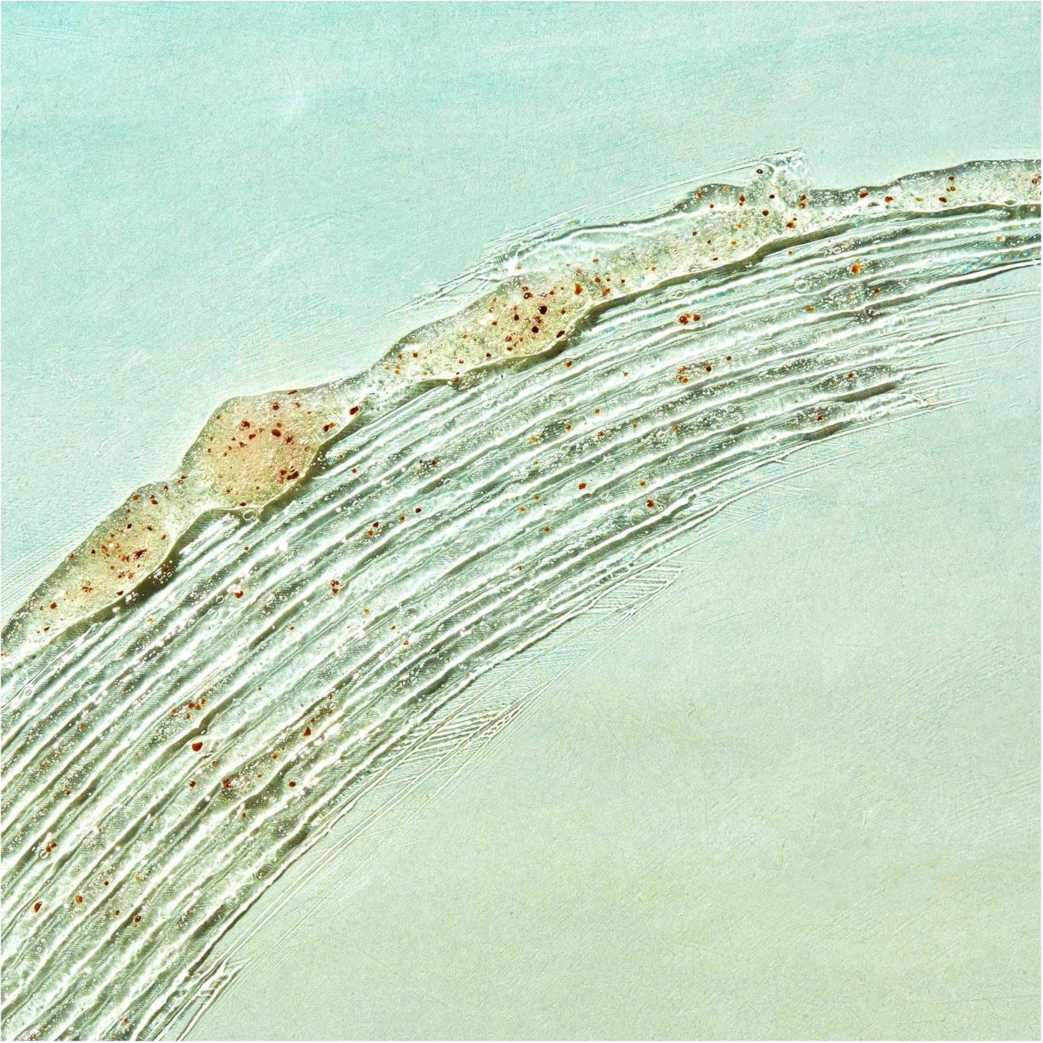 Exfoliante Facial Garnier SkinActive Té Verde 148 ml x2 Piel Grasa