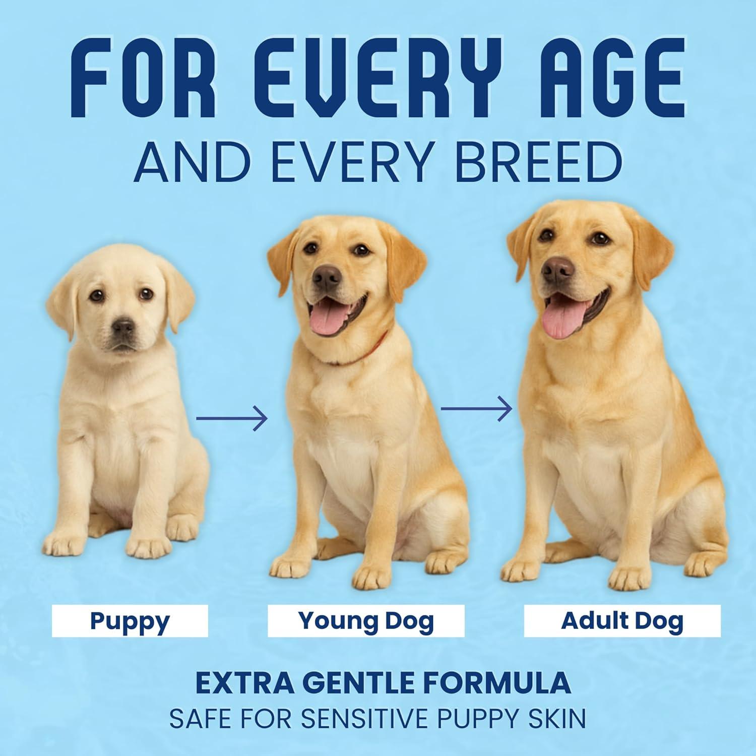 Champú Orgánico para Perros Real Organics 473ml Hipoalergénico