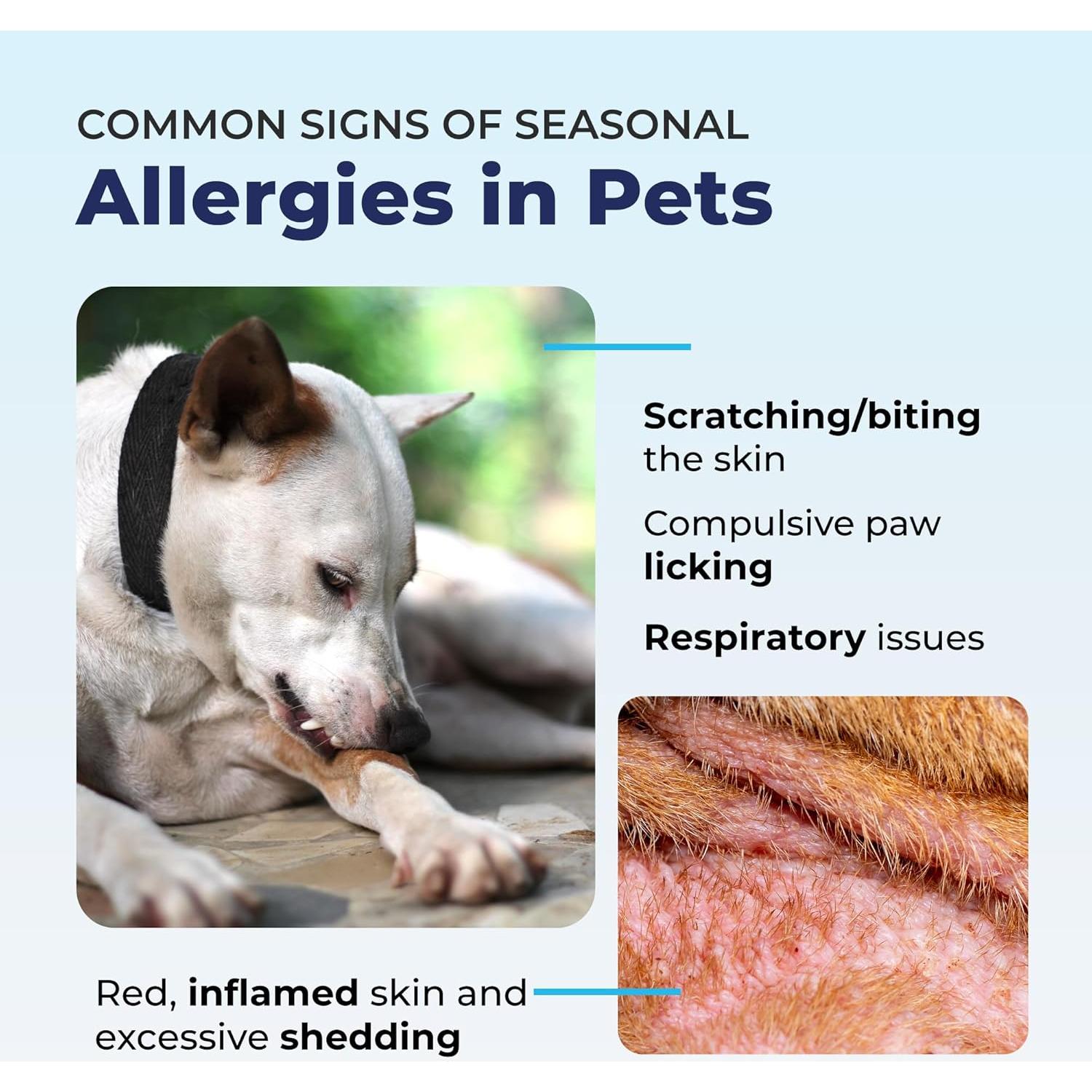 Spray Antipicazón Dermabliss Vetnique 113.4g para Perros y Gatos