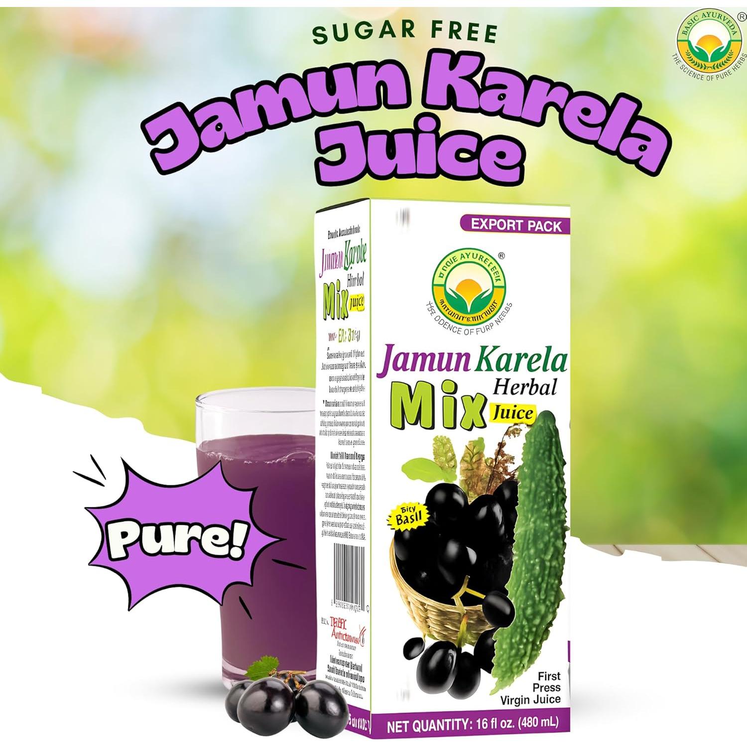 Jugo Herbal Jamun Karela 480ml Basic Ayurveda - Natural y Sin Conservantes