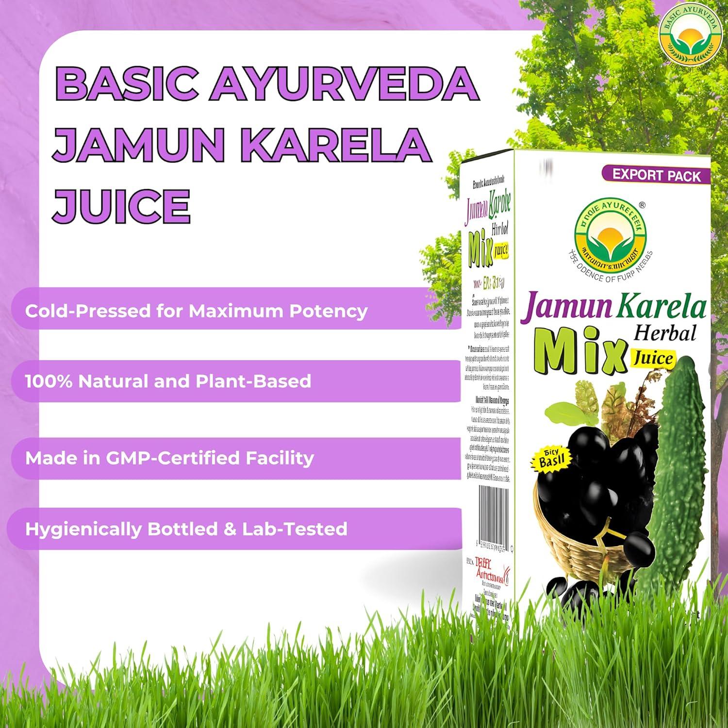 Jugo Herbal Jamun Karela 480ml Basic Ayurveda - Natural y Sin Conservantes