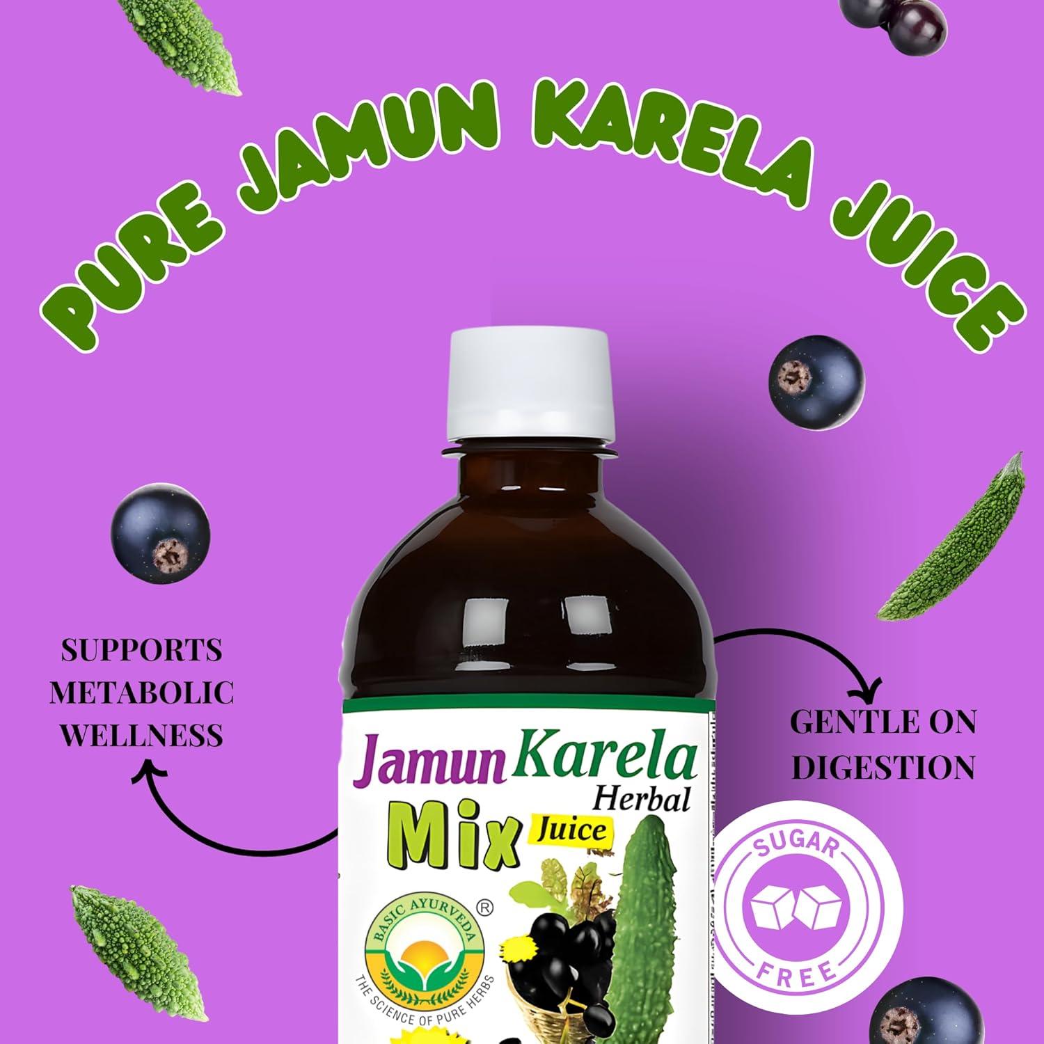 Jugo Herbal Jamun Karela 480ml Basic Ayurveda - Natural y Sin Conservantes