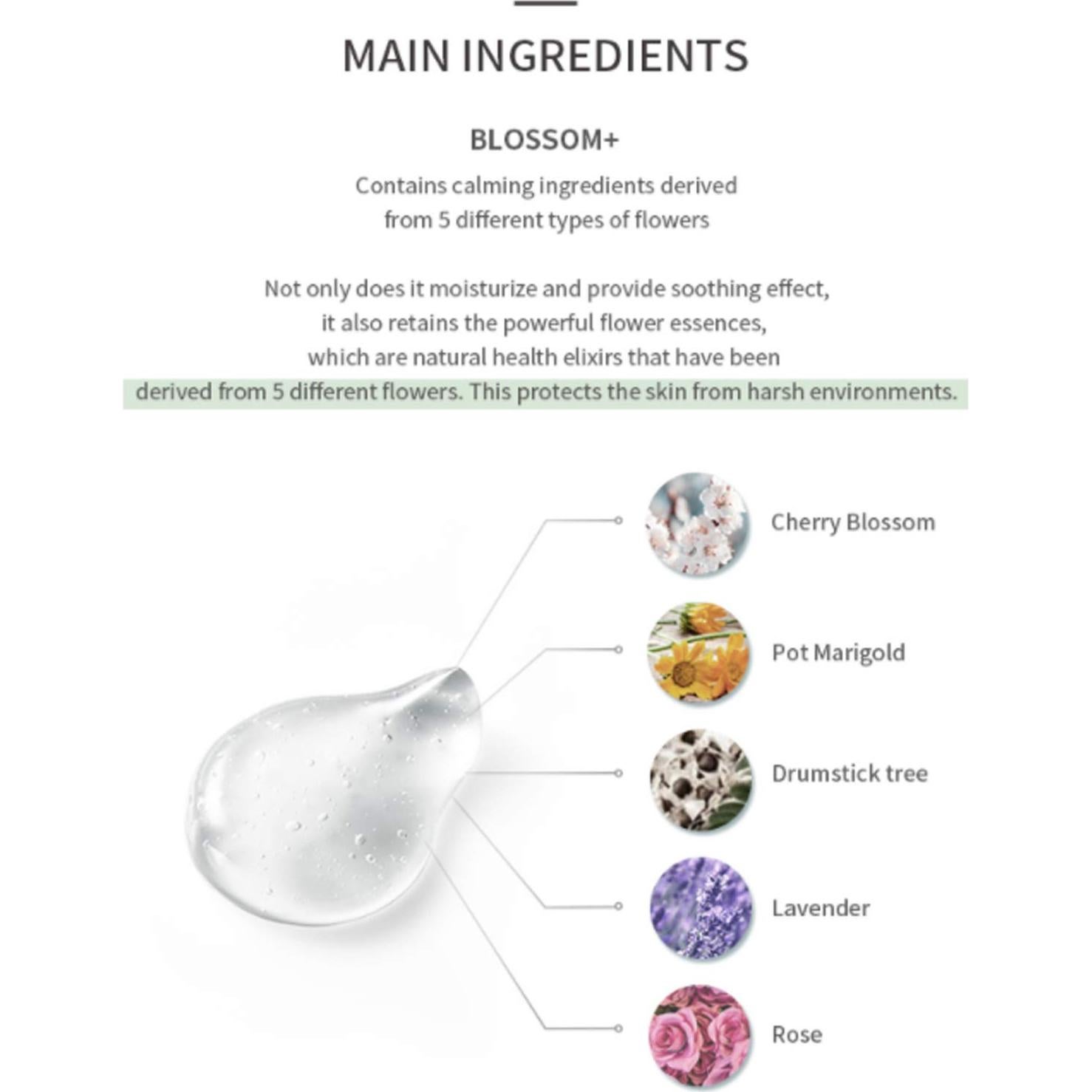 Gel de Ducha MIZON BLUEBERRY 765g - Hidratación y Suavidad