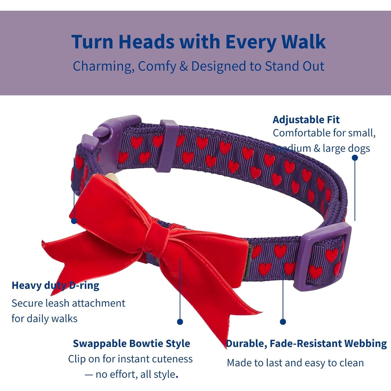 Collar Ajustable para Perro Blueberry Pet Pequeño Uva Gótica