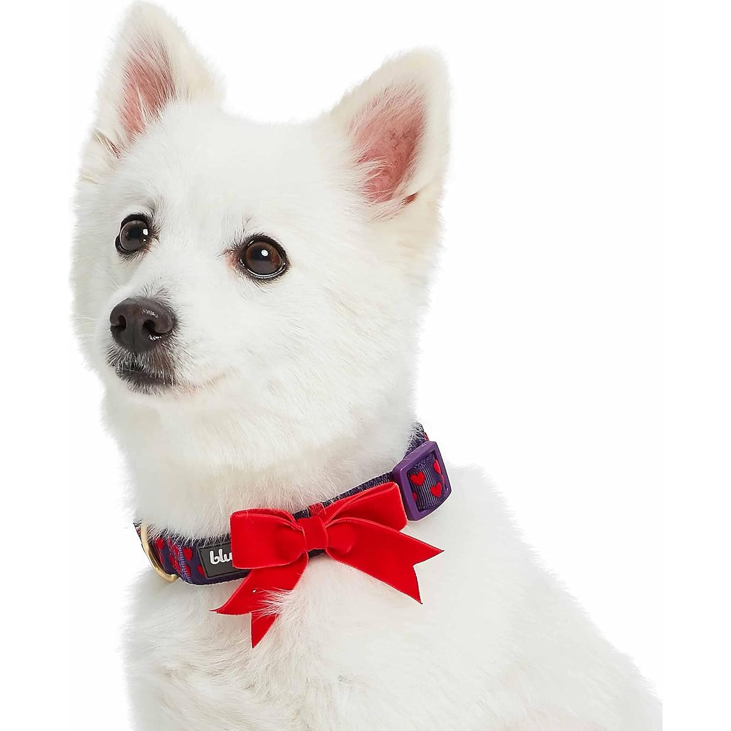 Collar Ajustable para Perro Blueberry Pet Pequeño Uva Gótica