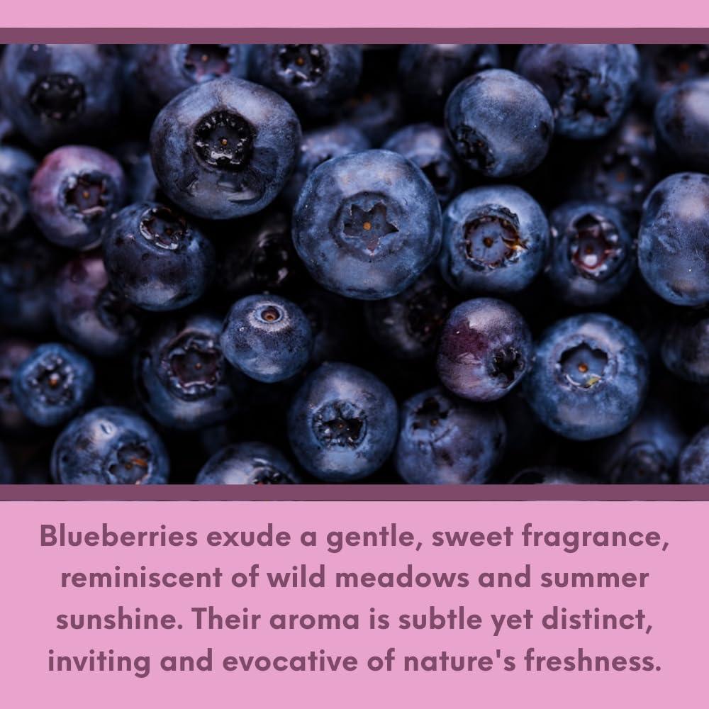 Aroma de Arándanos Buyitshipit 113.4 g - Fragancia para Velas y Jabones
