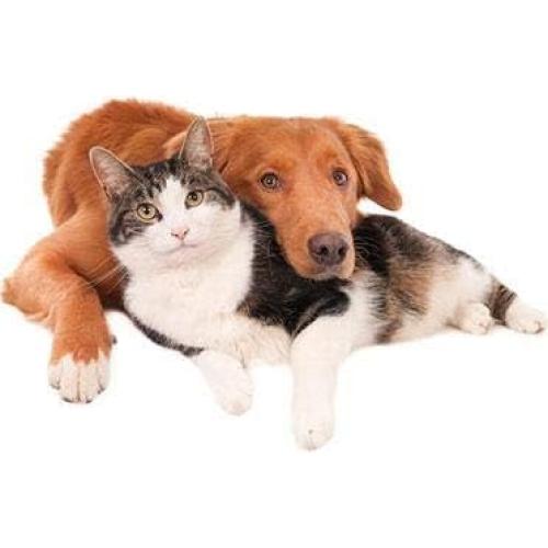 Suplemento de Salud Total para Mascotas My Lucky Pets - 180 Tabletas