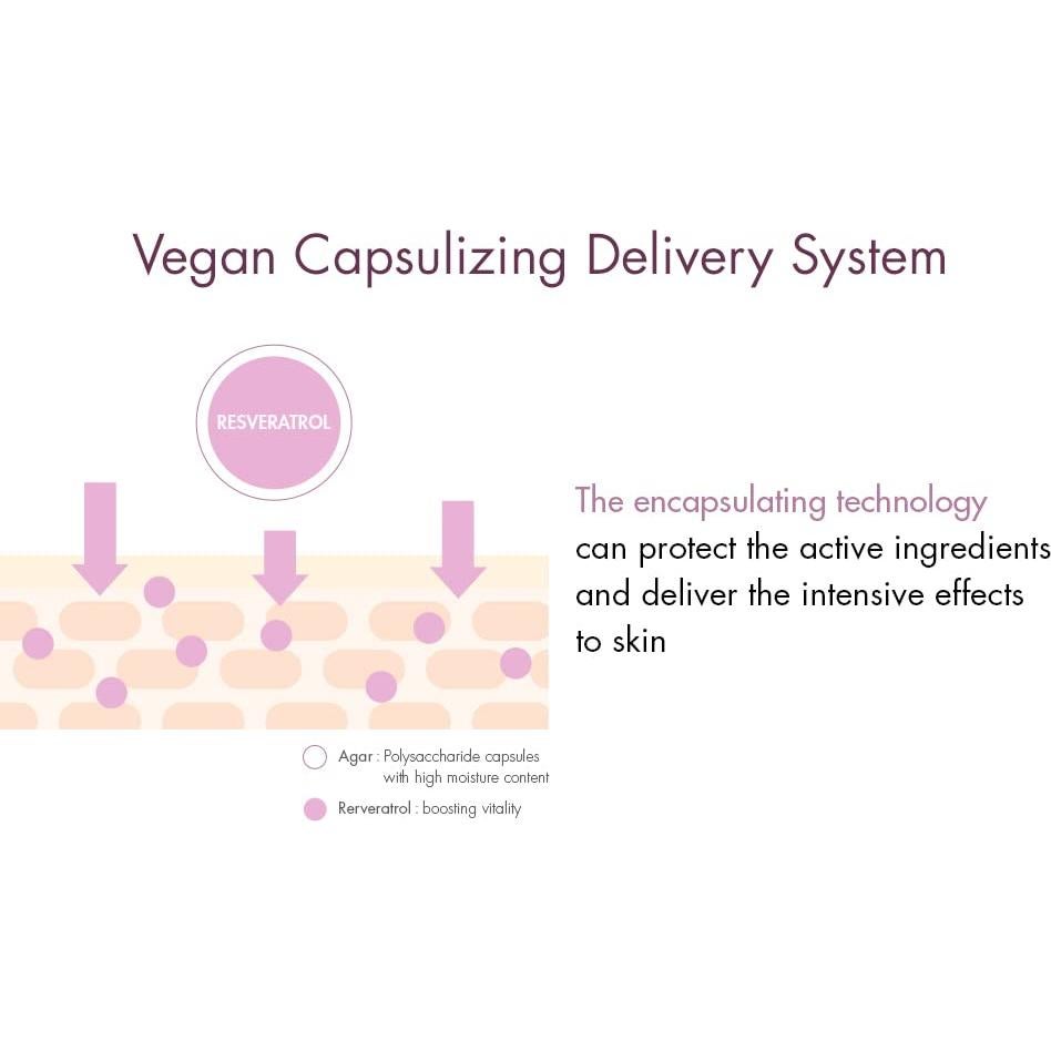 Crema Lifting Vegana Leegeehaam 75g - Hidratante Antioxidante