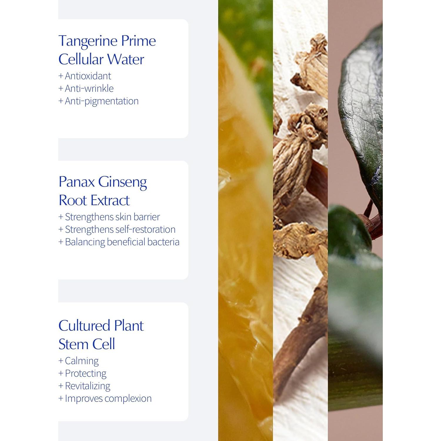 Crema Facial Vegana LBB 47.6 g - Hidratante Antioxidante