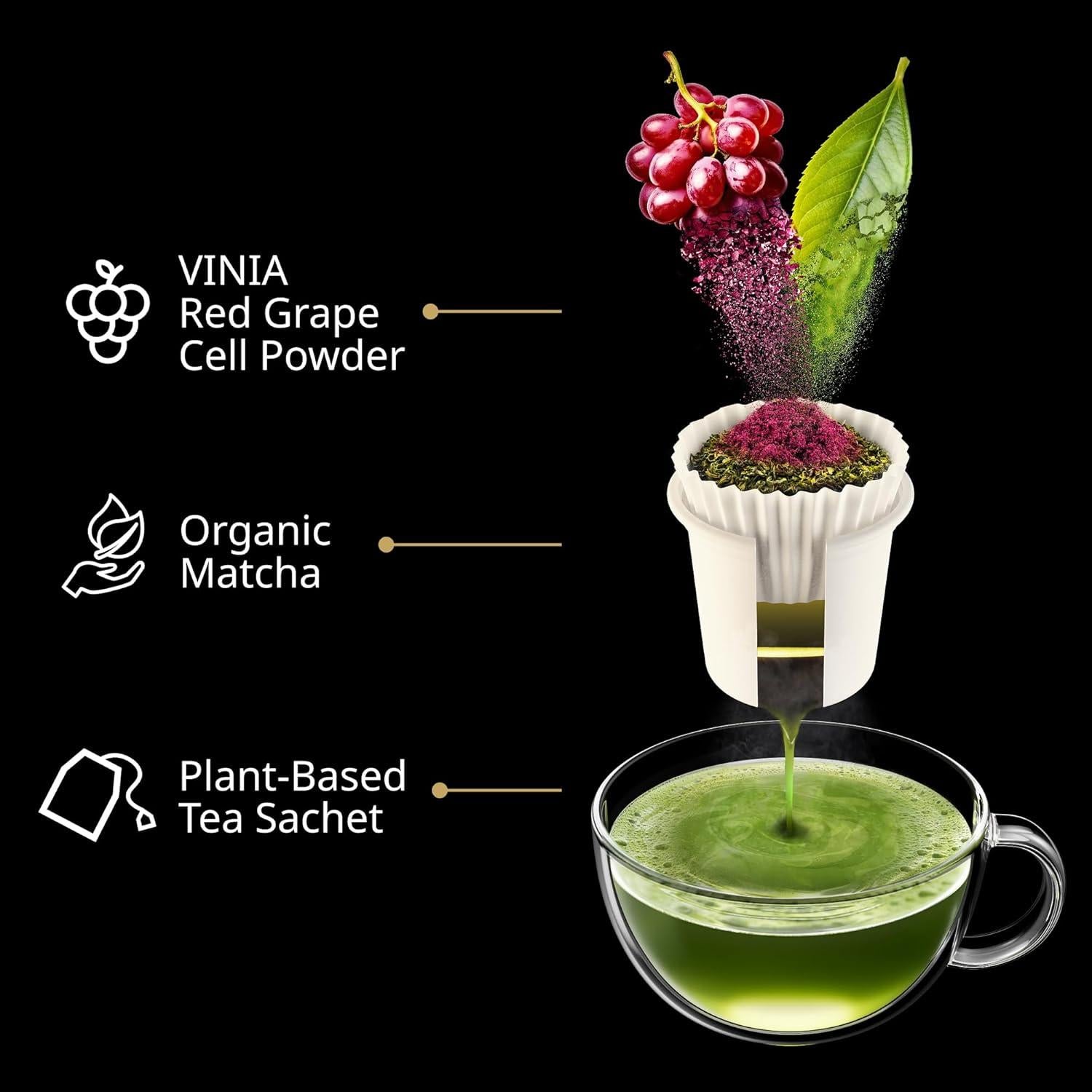 VINIA Matcha + Té Verde K-Cup 30 Cápsulas Orgánicas