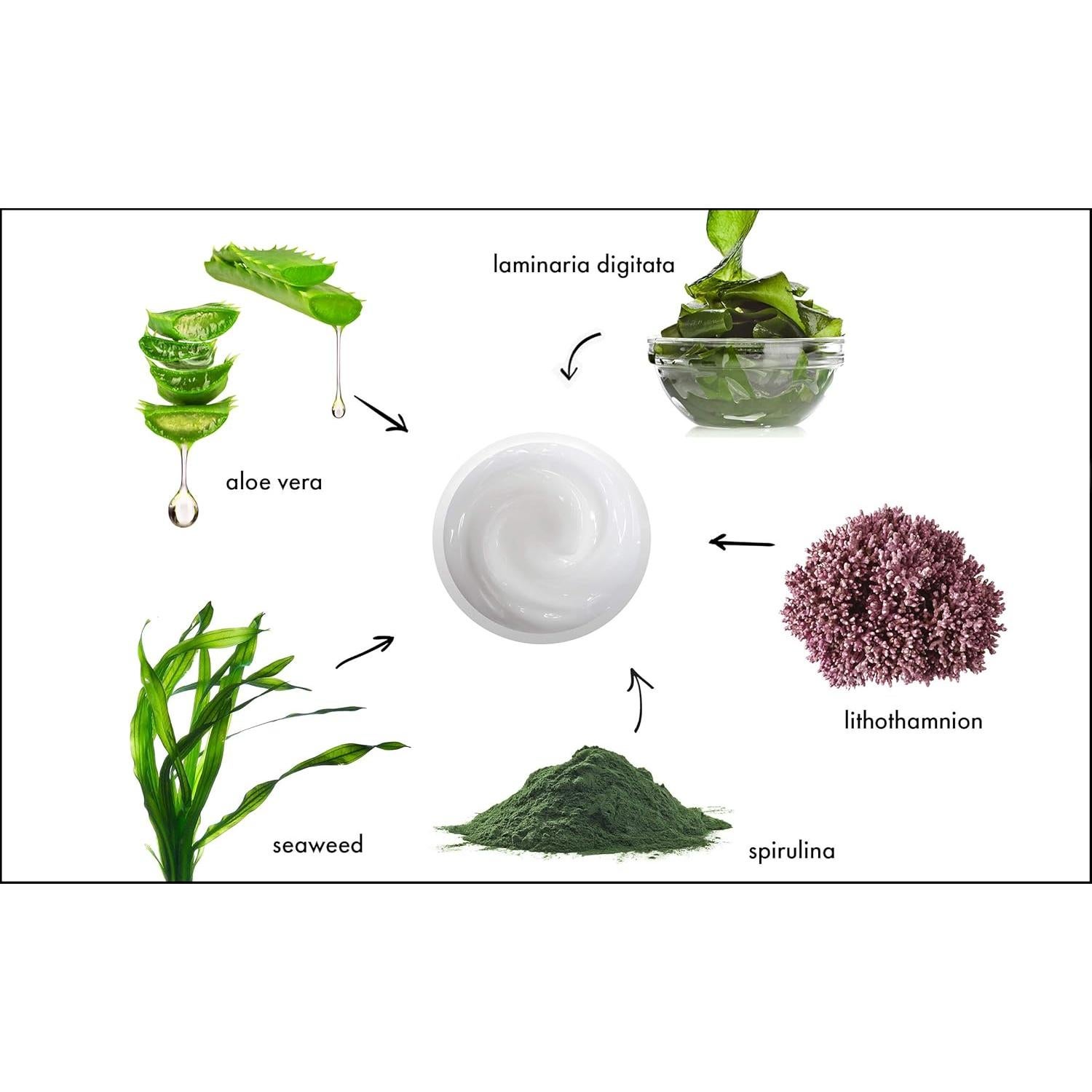 Crema Facial Hidratante Raya 304 - Anti-Envejecimiento Piel Grasa