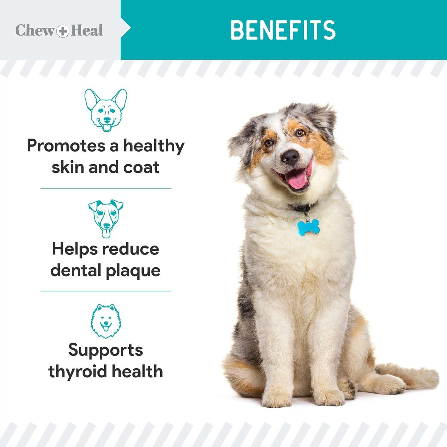 Suplemento de Kelp para Perros Chew + Heal 113.4 g - Salud Tiroides y Piel