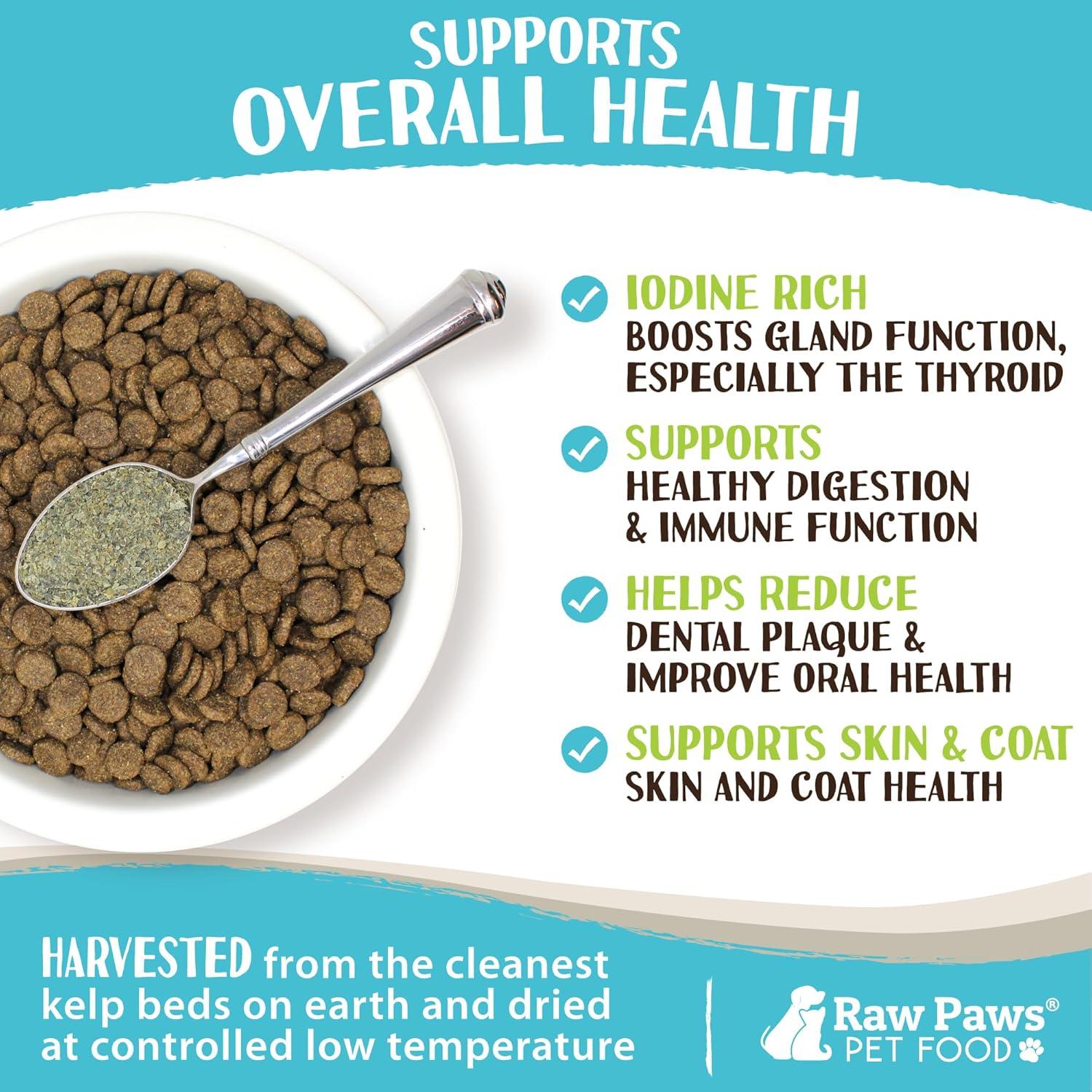 Polvo de Kelp Orgánico Raw Paws 227g - Suplemento para Perros y Gatos