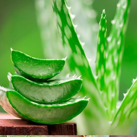 Crema Hidratante para Piernas Zermat Naturalezza 240 g