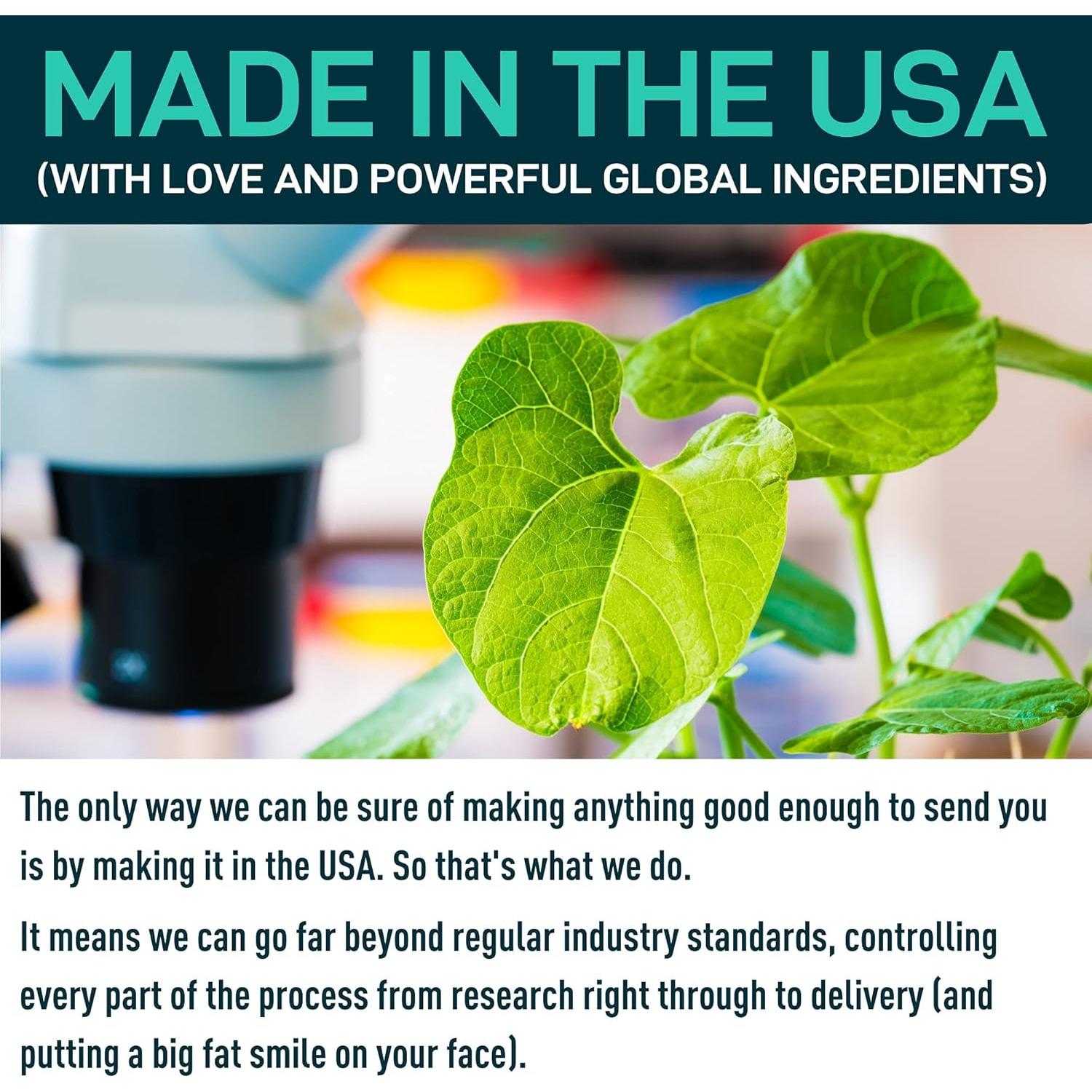 Suplemento de Azafrán Wild Fuel - 60 Cápsulas Antioxidantes