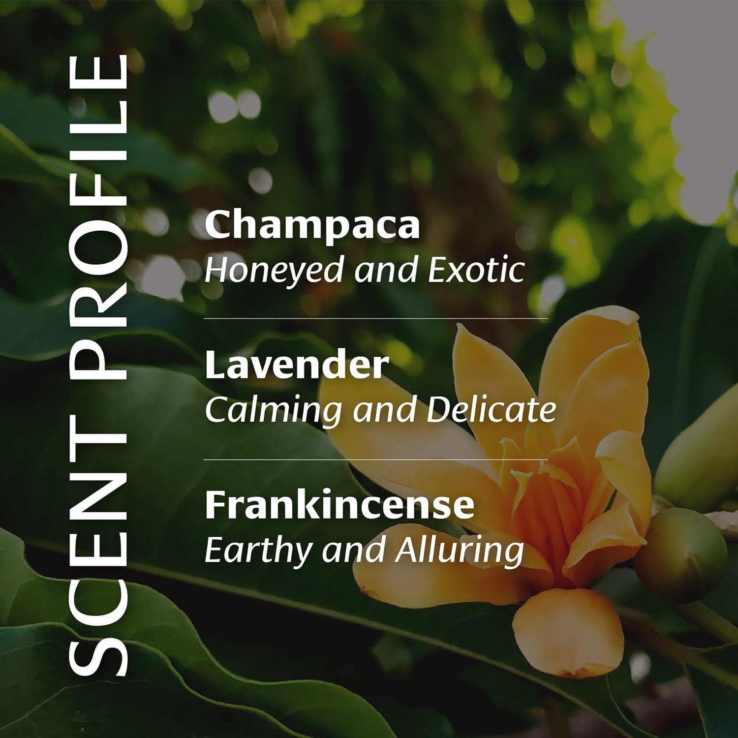 Aceite Corporal Ligero Banyan Botanicals 230 g - Cuidado Ayurvédico