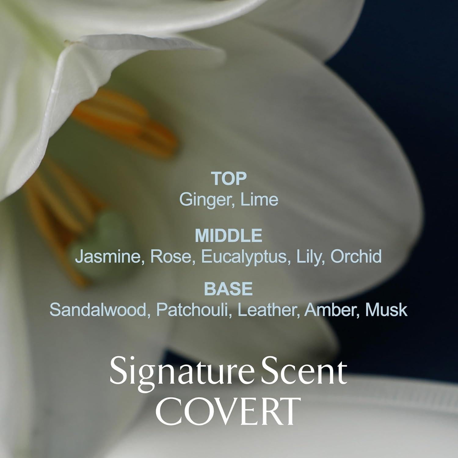 Crema Corporal Hidratante LA MUSE 300 ml Ámbar Maderoso