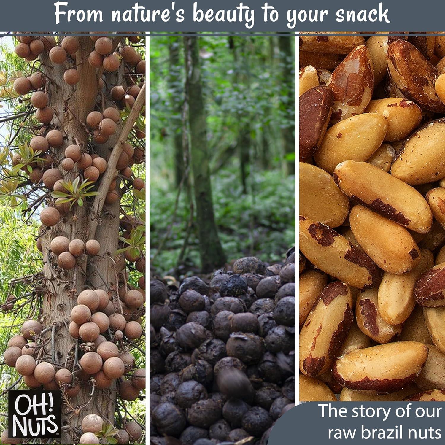 Nueces de Brasil Crudas Oh! Nuts® 0.91 kg Sin Cáscara