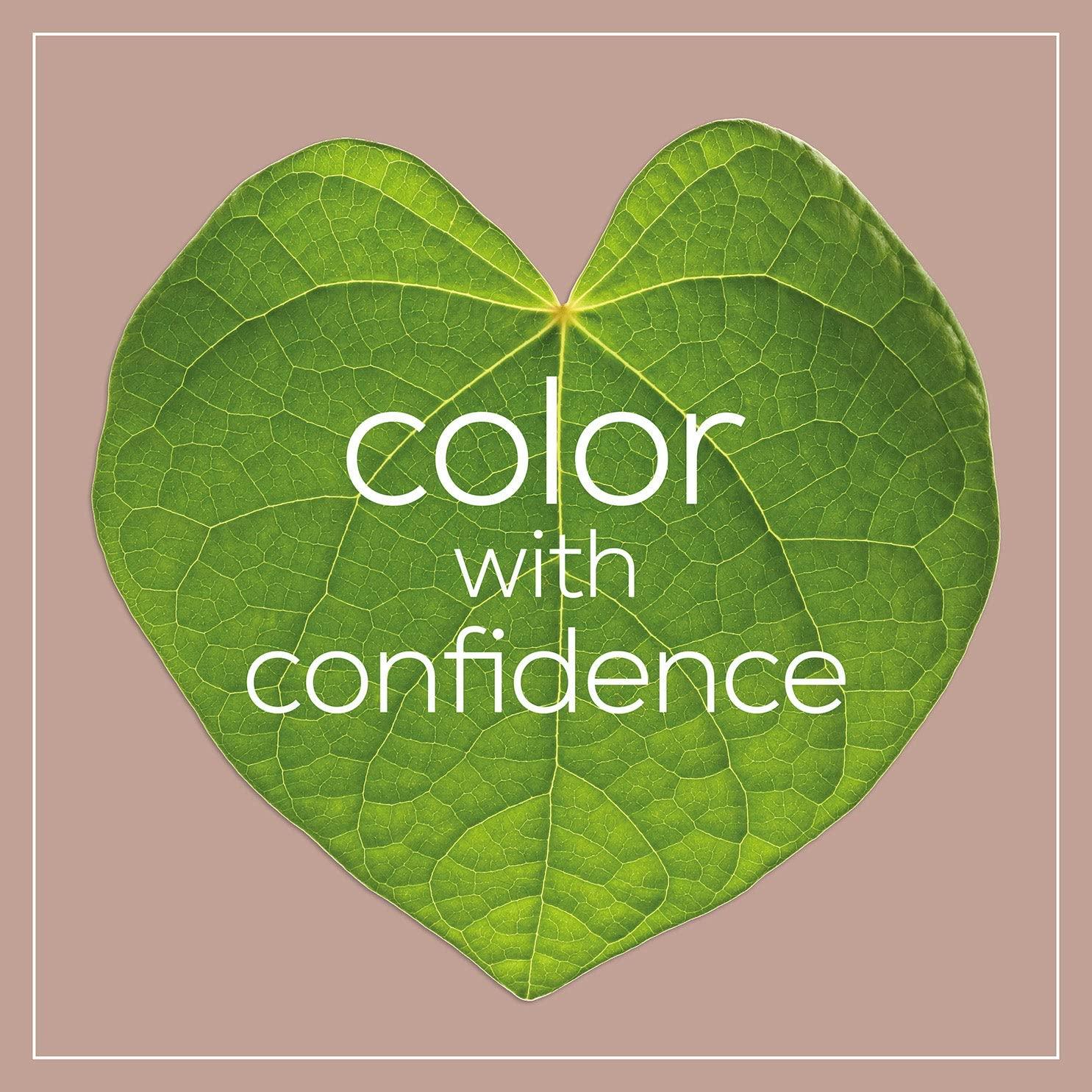 Color de Cabello Permanente Naturtint 4M Castaño Caoba 210g