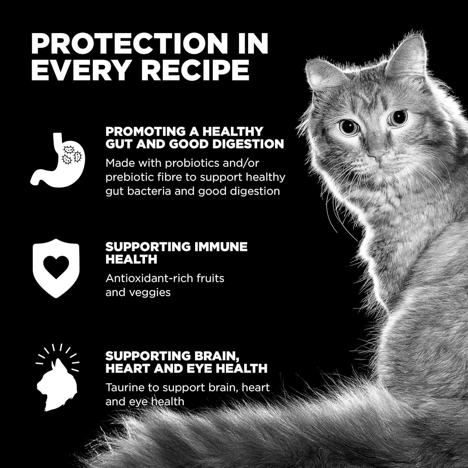 Comida Seca para Gatos Go! Solutions 3.63 kg Pollo Cuidado Piel