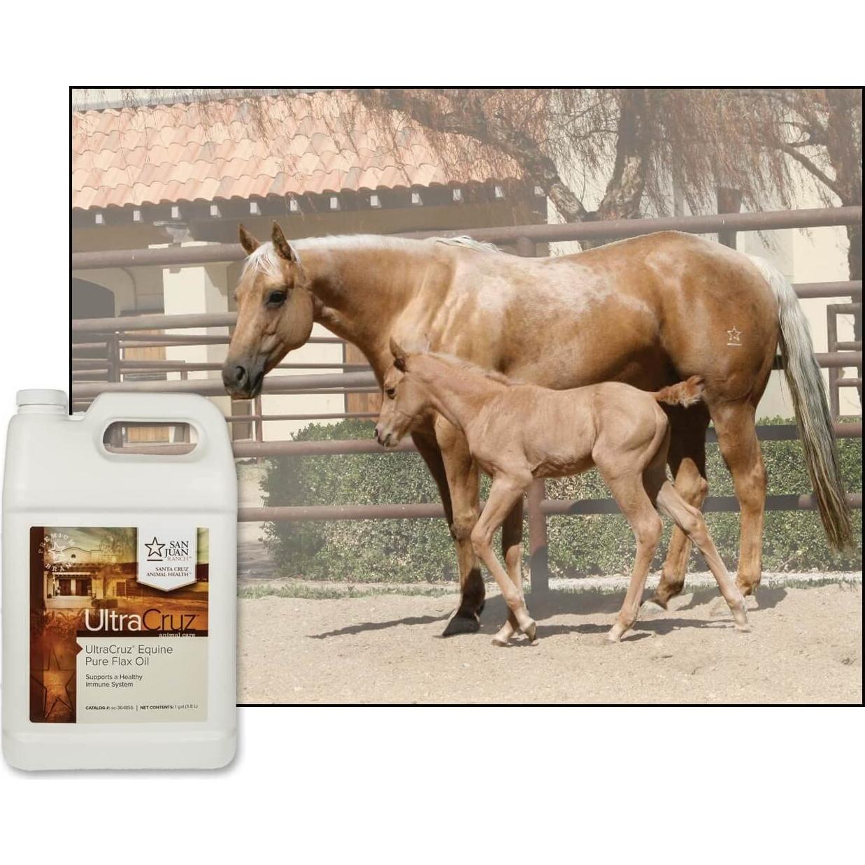 Suplemento Aceite de Linaza Pura UltraCruz 3.49kg para Caballos