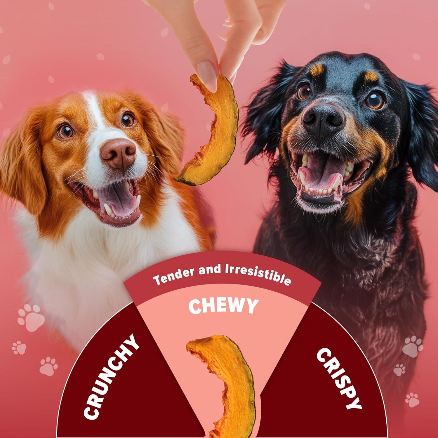 Chips de Calabaza para Perros Shang Yi 170g - Snack Hipoalergénico