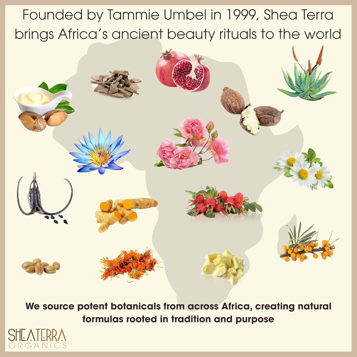 Jabón Supergraso Shea Terra con 33% Manteca de Karité 127g