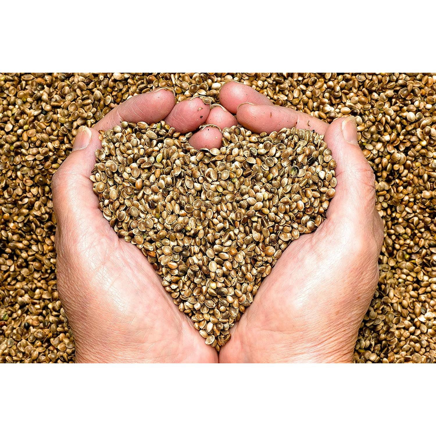 Aceite de Cañamo Cocojojo 118ml Prensado en Frío Sin Refinar