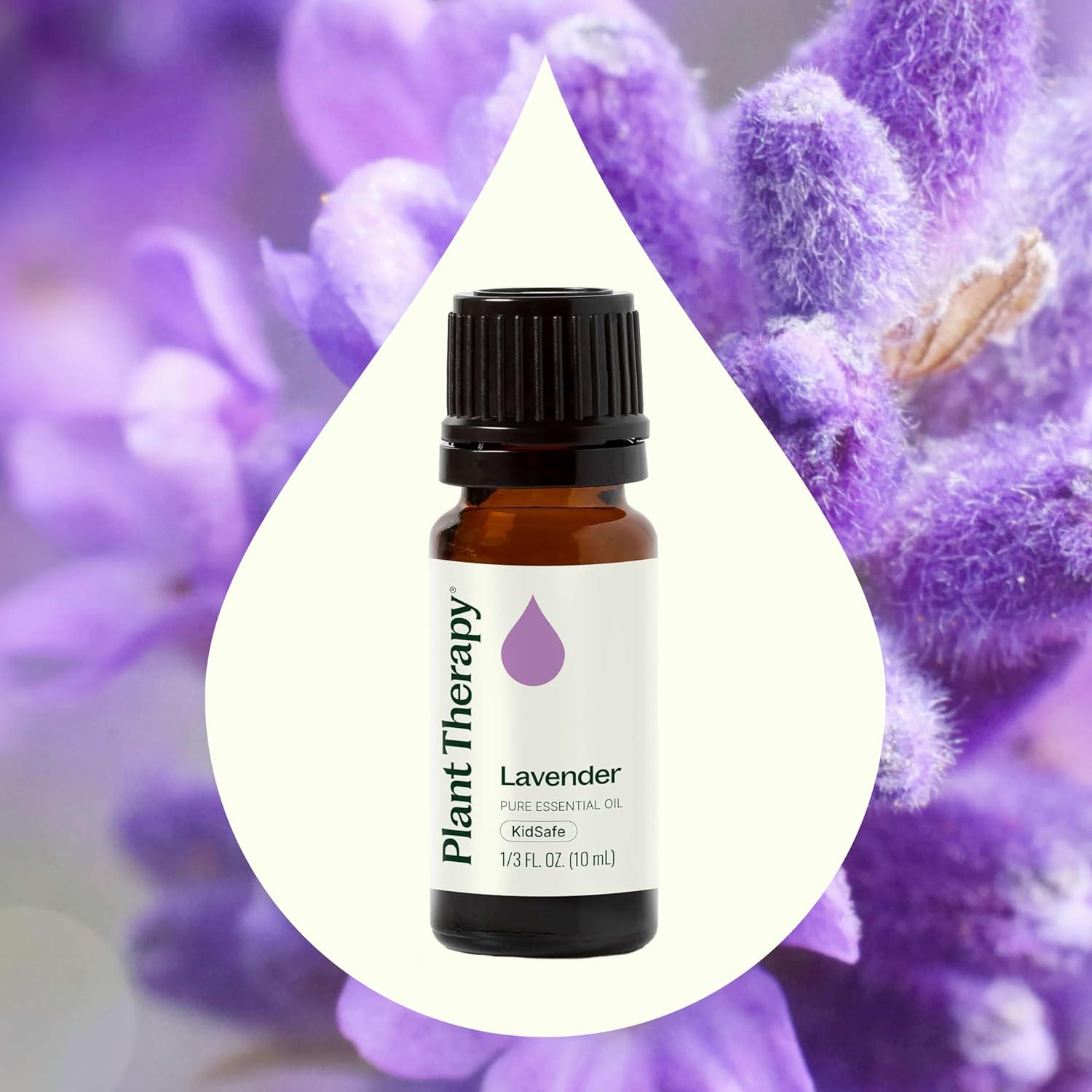 Aceite Esencial de Lavanda Plant Therapy 100% Puro 10 mL
